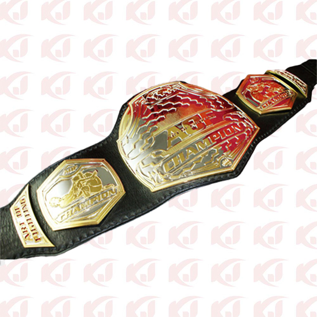 Belt for the Art of Fighting MMA Championship