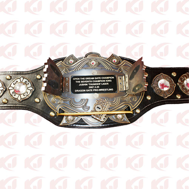 Dragon Gate Professional Wrestling Title