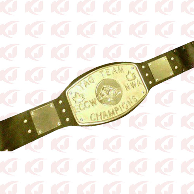 Elite Canadian Championship Wrestling ECCW NWA Tag Team Champion Belt