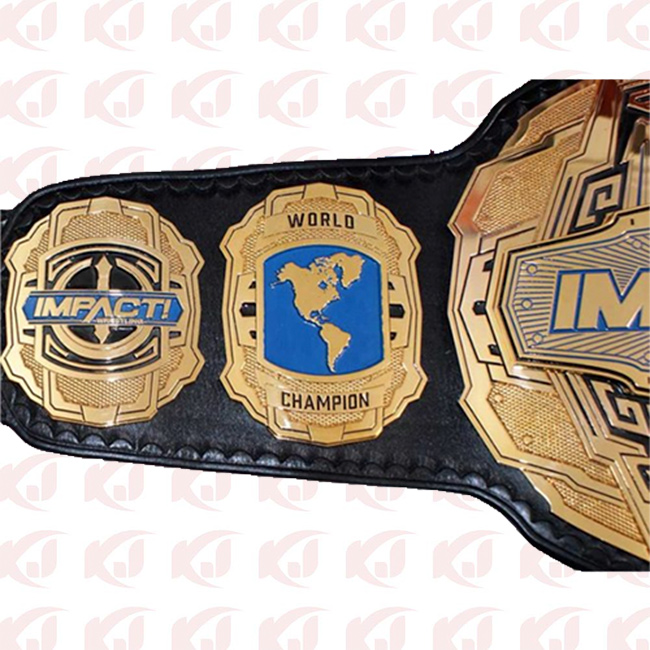 Impact Championship Belt in World Wrestling