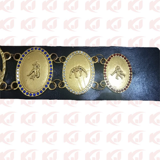 Lou Thesz NWA World Heavyweight Wrestling Champion Belt PWF Lou Taze