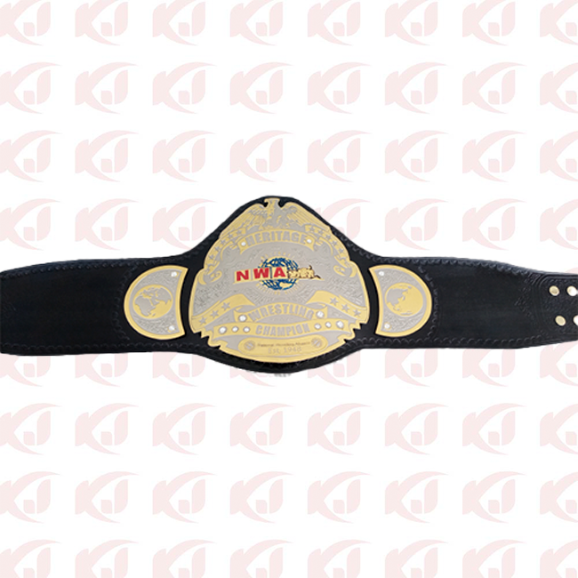 Sean Waltman XPac TJP, NWA Heritage championship wrestler and heavyweight champion belt