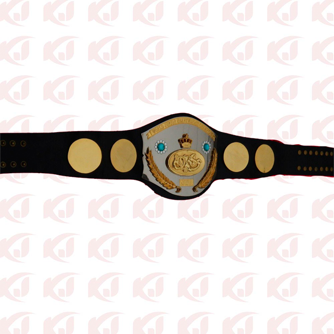 Belt for Junior Heavyweight Wrestling in the NWA Jr. World International