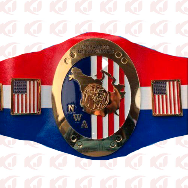 Version of the NWA North American Tag Team Champion Belt in Florida Bruce Reed David Von E.