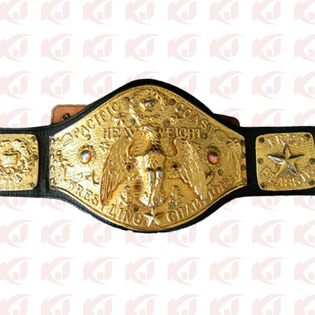 Belt for the NWA World Tag Team Heavyweight Championship