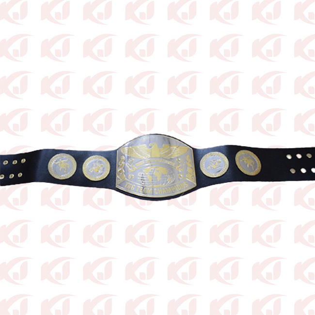 Championship Belt for Old School International Tag Team Wrestling