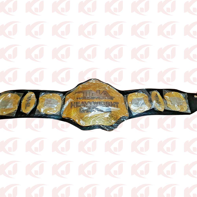 Title Belt for the TNA Heavyweight Wrestling Championship