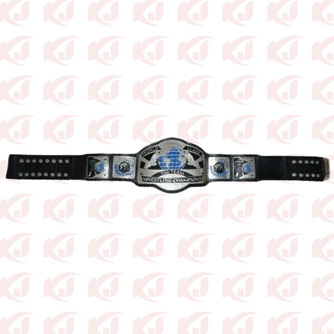 The Dusek Family Champion, the WCWA World Class Tag Team Wrestling Championship Belt