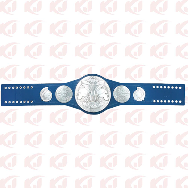 Replica title for the WWE SmackDown Tag Team Championship