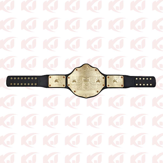 Title Belt for the WWE World Heavyweight Championship